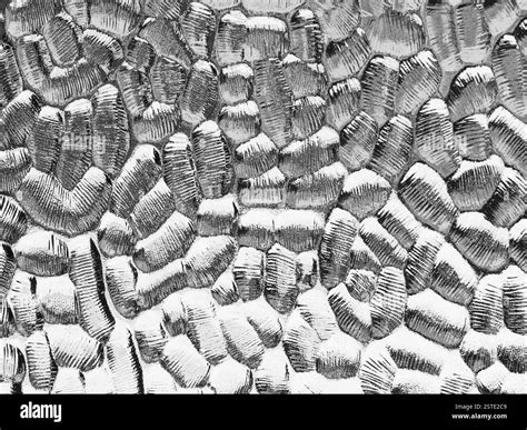 glass texture  black  white stock photo alamy