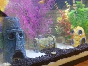 Bikini Bottom Aquarium Ornaments Shut Up And Take My Money