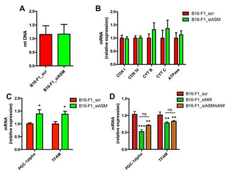 Cells Free Full Text Acid Sphingomyelinase Downregulation Enhances