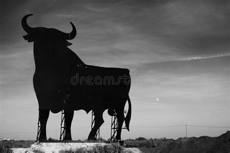 Spanish bull. Silhouette a symbol of Spain , #Ad, #bull, #Spanish, # ...