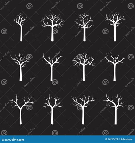 Set Naked White Trees Vector Illustration Stock Vector Illustration Of Style Elegance 76215470