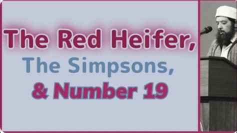 Sheikh Omar Baloch The Red Heifer The Simpsons Number 19 YouTube