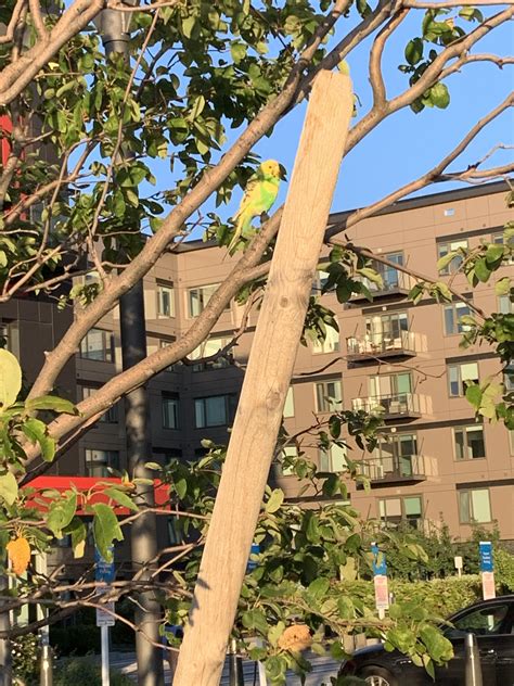 143 best Presti images on Pholder | Thunder, Nba and Bodybuilding