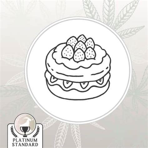 Runtz Shortcake Ganja Goats