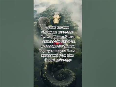 ТУГРИМИ - YouTube