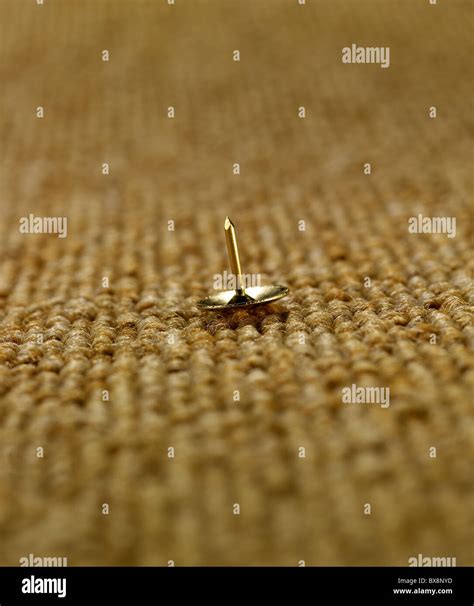 drawing pin  res stock photography  images alamy