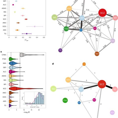 Snp Based Heritability Genetic Correlations And Cross Trait