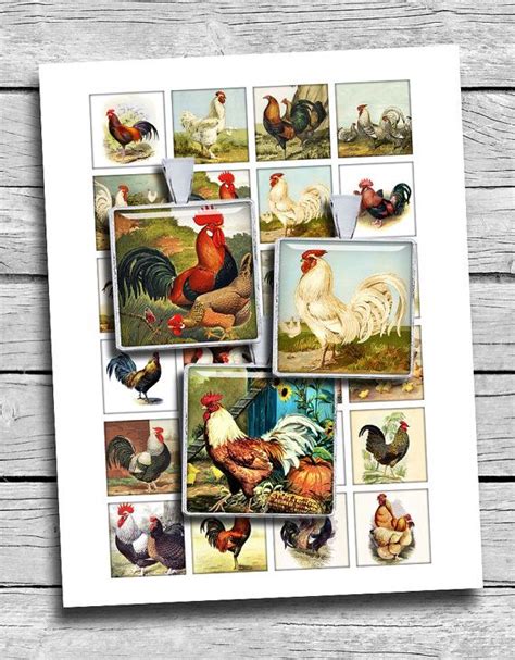 Printable Images Vintage Chickens And Roosters 075x083 1x1 15x15