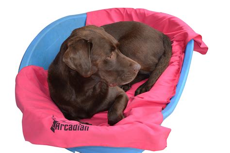 Large Microfibre Dog Towels By Arcadian Quick Dry Ultra Compact
