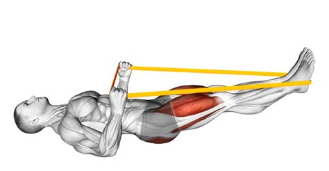 resistance band leg press muscles worked   inspire
