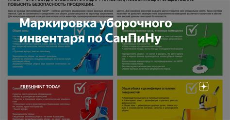 Уборочный инвентарь для медицинских учреждений: правила хранения ...