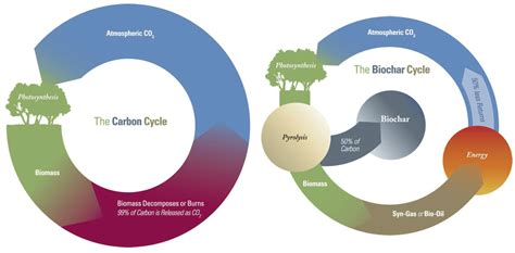 Practical Applications of Biochar in the Landscape - Ecological Landscape Alliance