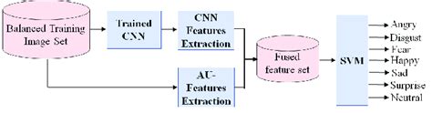 Training SVM classifier by CNN and AU features. | Download Scientific ...