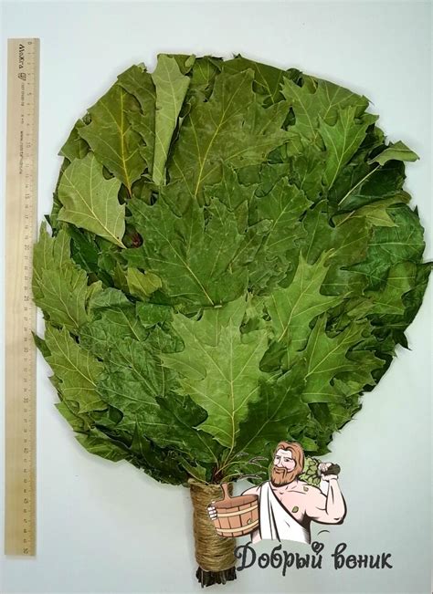 ВЕНИКИ ДЛЯ БАНИ