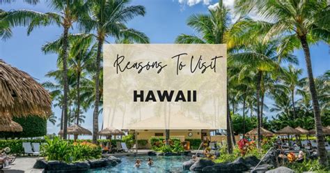 5 Reasons Why You NEED to Experience Anonib Hawaii. - ruh3wzr