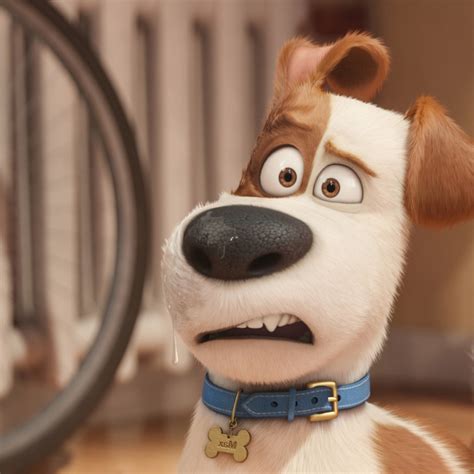 2048x2048 Max The Secret Life Of Pets Ipad Air HD 4k Wallpapers, Images ...