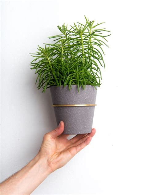 Planty Rings - Creative Cluster