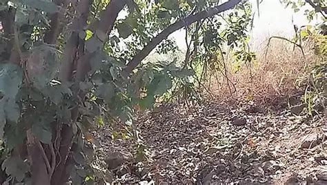 Bhabhi Ko Dekh Sex Kar Land Khada Ho Gaya Free Hd Porn E Xhamster