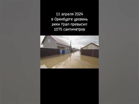 Вода все выше Оренбург 11 апреля 2024 #2024 #оренбург - YouTube