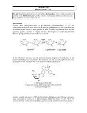 Enzyme Kinetics Docx Chm Bio Enzyme Kinetics Lab Pre Lab