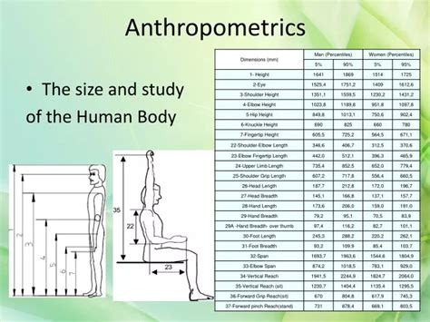 Ppt Anthropometrics Powerpoint Presentation Free Download Id2800223