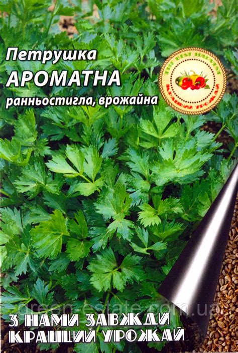 Семена петрушки Ароматная 2 г. купить в Украине почтой, цена оптом 2019