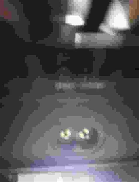 plug   buy   computer screen    beko