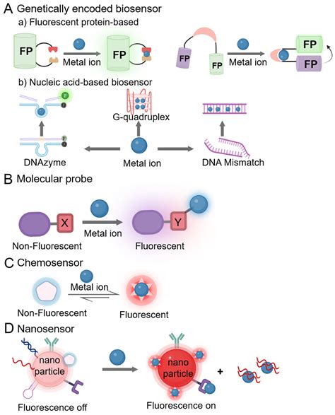 Chemosensors Free Full Text Fluorescent Sensors For Detecting And