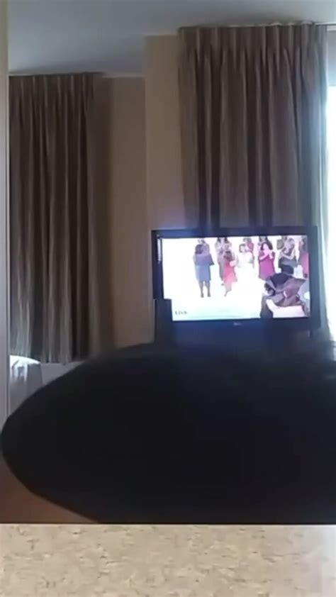 Anal Vore Video 111 ThisVid