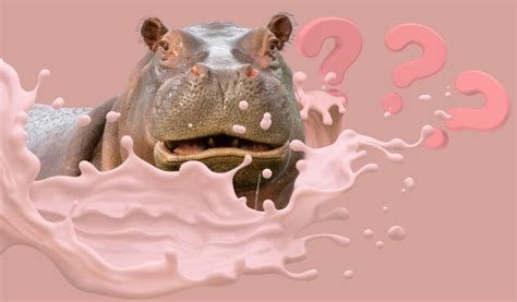 Is Hippo Milk Really Pink? - Scientific Facts