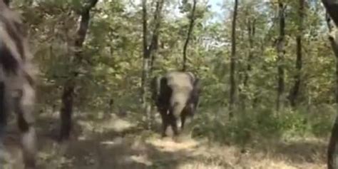 Mature Blonde Granny Getting Fucked Outdoors Tnaflix