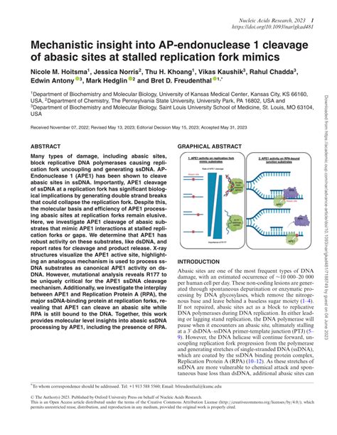 Pdf Mechanistic Insight Into Ap Endonuclease Cleavage Of Abasic