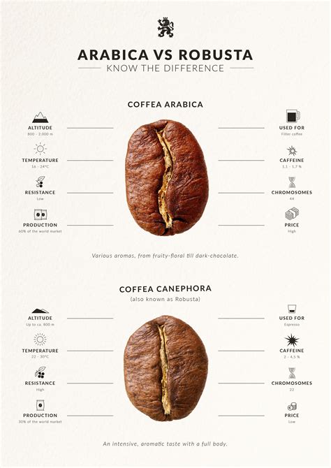 Best 13 Exploring Coffee Roast Types: From Light to Dark – Artofit