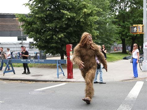 Do You Believe In Bigfoot Senior Forums