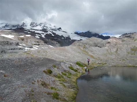 Paradise Glacier Visit Rainier
