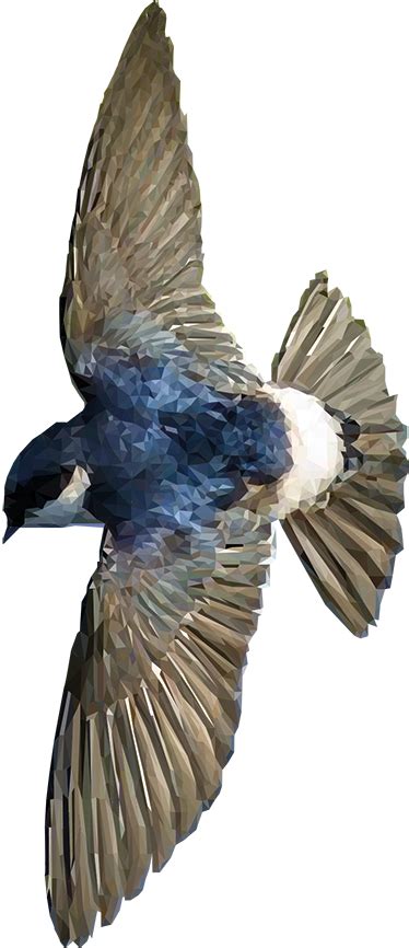 многоугольная птица стикер животных - TenStickers