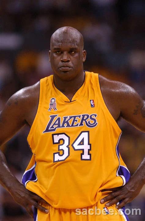 Shaquille O Neal Height