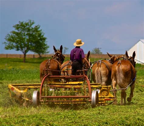 Amish Farming Methods