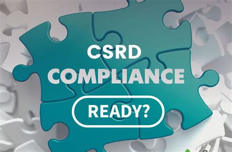 Are You Feeling The Burden Of Csrd Compliance