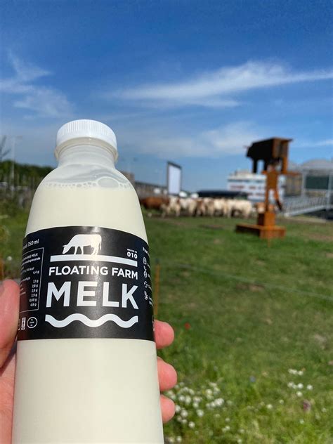 The World S First Floating Dairy Farm Is In Rotterdam