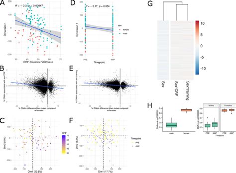 Sex Differences In Muscle Protein Expression And Dna Methylation In Response To Exercise