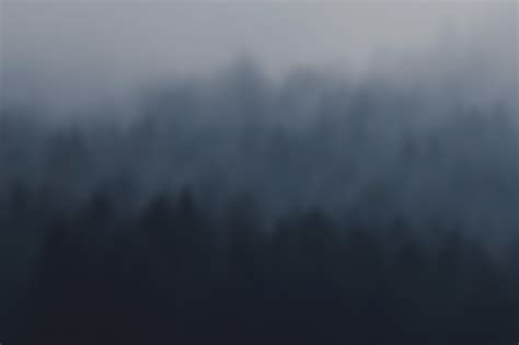 Download Forest Fog Blurry Royalty Free Stock Illustration Image Pixabay