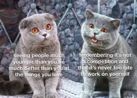 2 cats meme template : r/MemeTemplatesOfficial