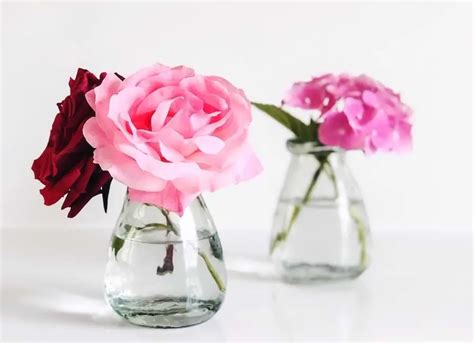 Make Cut Roses Last Longer 9 Easy Tips For More Rose Life