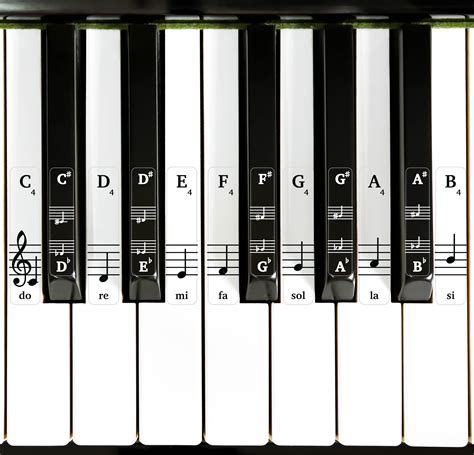 Musical keyboard stickers – for black and white keys