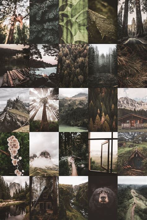 100 Pcs Nature Wall Collage Kit Digital Download Green Aesthetic
