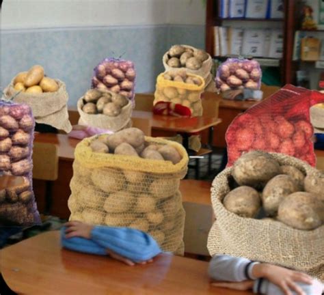 Создать мем "мешок картошки класс, мешок картошки, картофель картошка ...