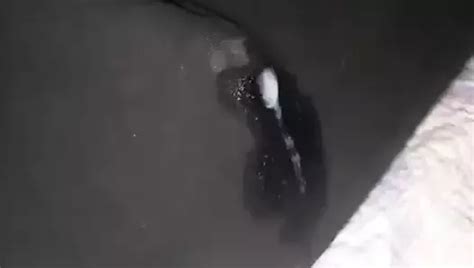 Yoga Pants Tribute Gay Porn XHamster