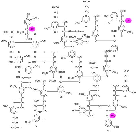 File Ligninsulfonate Structure Svg Wikimedia Commons