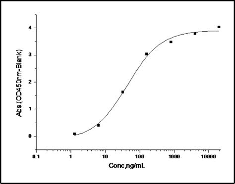 Recombinant Human B Cd Protein H H Sino Biological